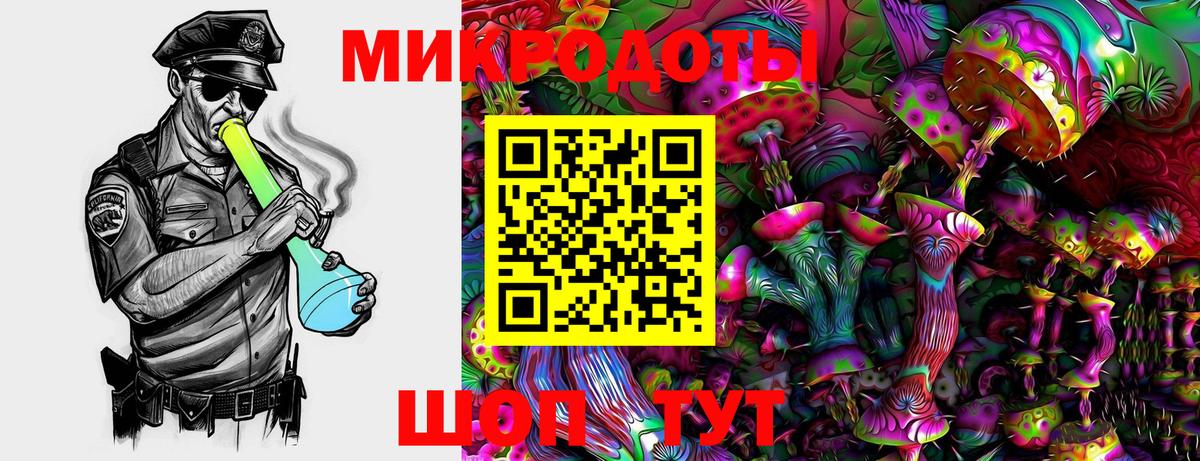 Псилоцибиновые грибы Cubensis  Галлюциногенные грибы мицелий  Клин  Вход с VPN 